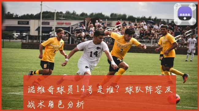 诺维奇球员14号是谁？球队阵容及战术角色分析