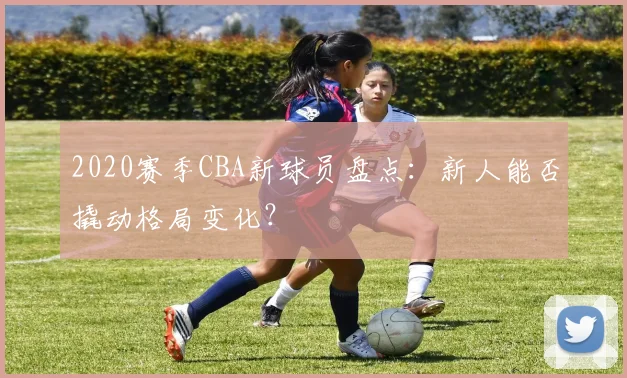 2020赛季CBA新球员盘点：新人能否撬动格局变化？