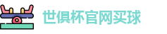 2025世界俱乐部杯